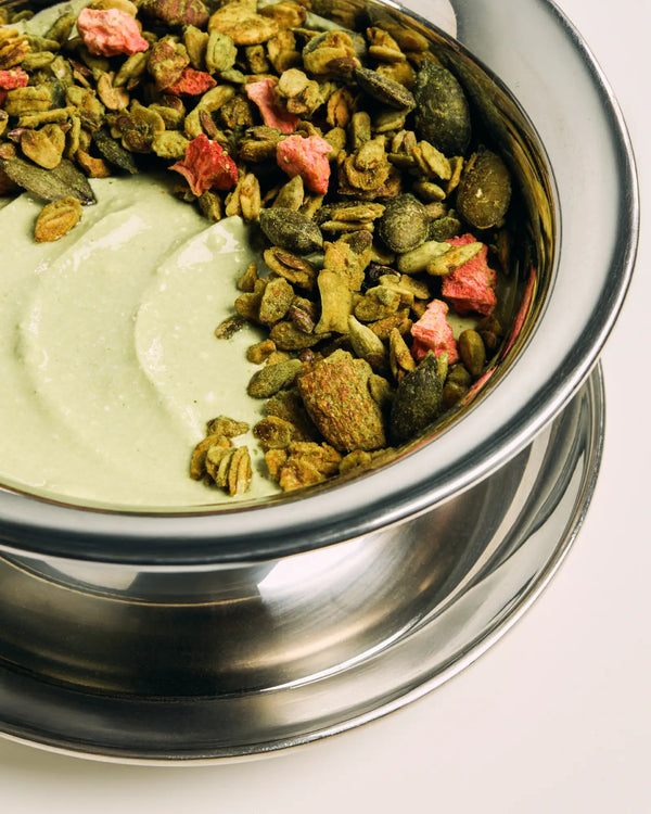 „6AM Club“ Starter Pack