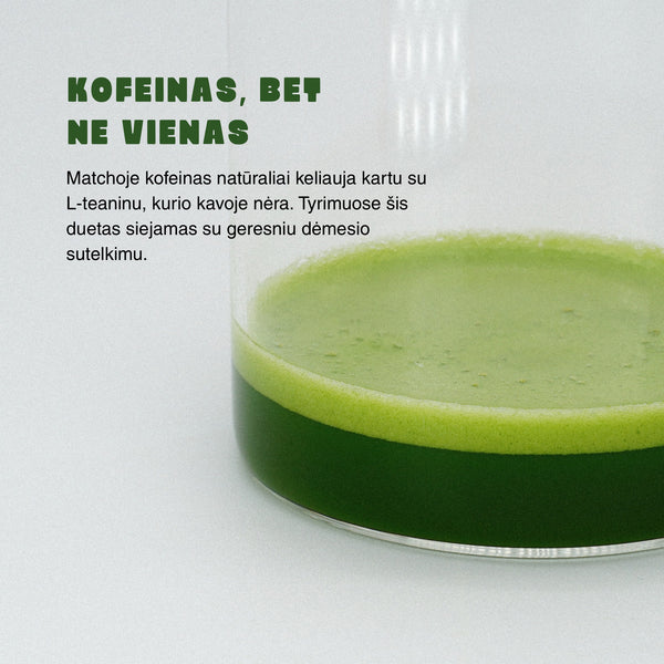 Matcha ir kofeinas: matchoje kofeinas keliauja kartu su L-teaninu